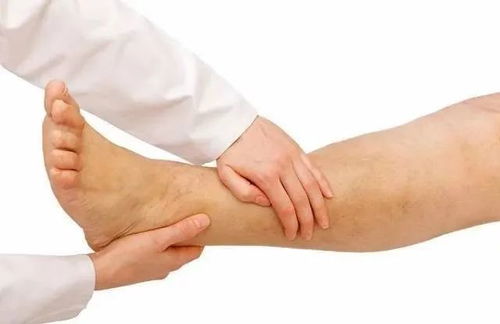 寧姐月嫂進社區，公益講座傳健康 唐山路社區經絡養生講座圓滿舉辦